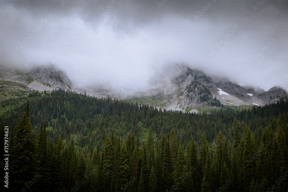 Canadian landscape, Mountains in Fernie, B.C Canada. Moody and atmospheric scene of mountains with clouds and green trees. Canadian landscape, Mountains in Fernie, B.C Canada. Moody and atmospheric scene of mountains with clouds and green trees.