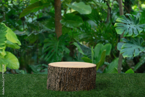 Wood podium table top floor in outdoors tropical garden forest blurred green leaf plant nature background.Natural product placement pedestal stand display,jungle paradise concept.