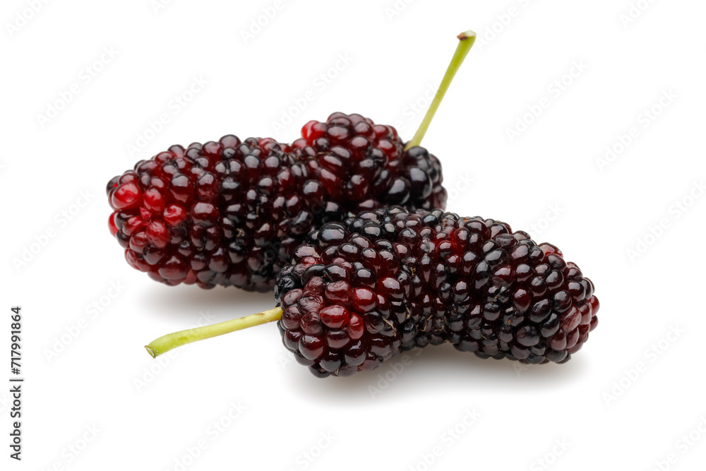 Black mulberries isolated on white background Black mulberries isolated on white background