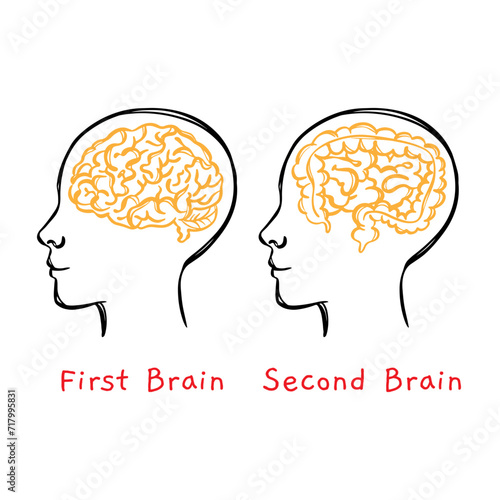 HUMAN INTESTINE IS SECOND BRAIN Medicine Human Health Lifestyle Teaching Students Vector Illustration Sketch Of Head On Banner