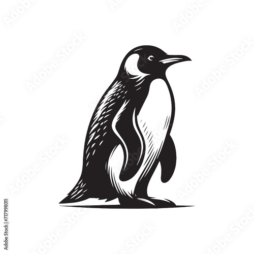 Arctic Elegance: Penguin Silhouette Series Capturing the Graceful Movements of Antarctic Avian Residents - Penguin Illustration - Penguin Vector
