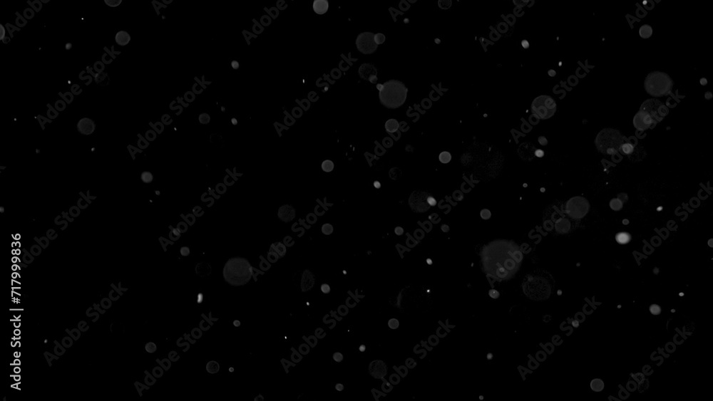 Efeito de neve e poeira. Fundo para apresentações, trabalhos escolares. Fundo de tela, descanso de tela. Fundos para montagens fotográficas. Overlays. Backgrounds. Efeito de neve e poeira. Fundo para apresentações, trabalhos escolares. Fundo de tela, descanso de tela. Fundos para montagens fotográficas. Overlays. Backgrounds.