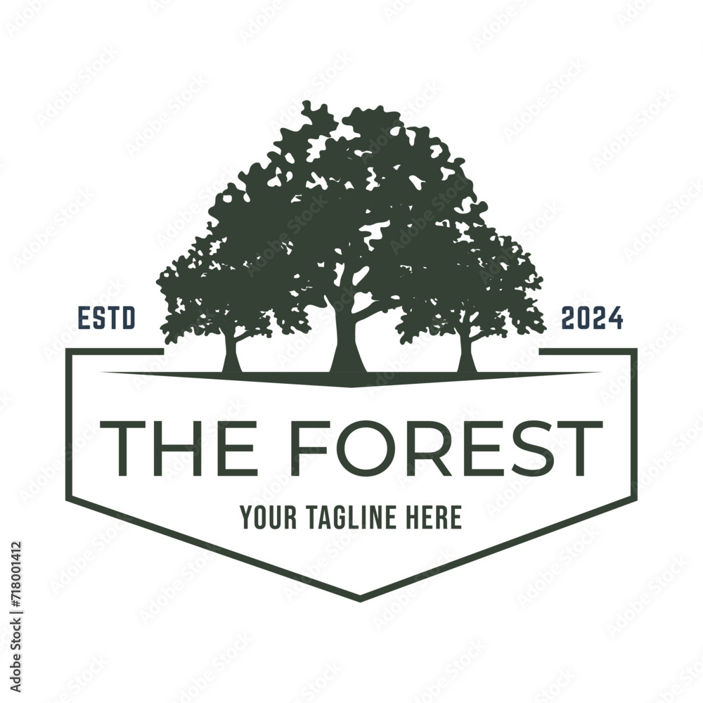 Fototapeta premium Tree logo design. Pine forest logo vector illustration