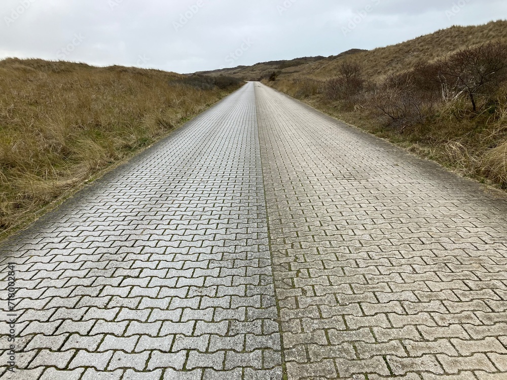 Fototapeta premium Blick auf die Dünenlandschaft der Ostfriesischen Insel Juist 