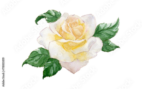 Rose jaune à l'aquarelle