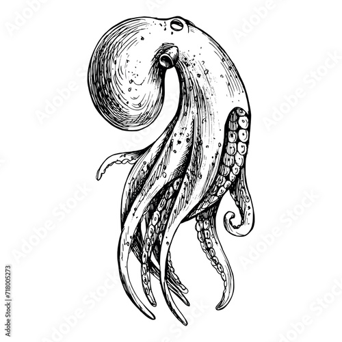 Underwater world clipart with Octopus. Graphic illustration hand drawn in black ink. Isolated object EPS vector.