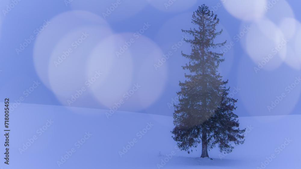 christmas tree in snow christmas tree in snow