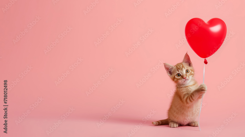 Little funny ginger kitten holding red heart shaped balloon isolated on pastel pink studio background with copy space. Happy Valentine's Day, Mother's Day, International Women's Day, Birthday card.
