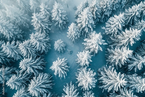 Evergreen trees coated with snow. Generative Ai.