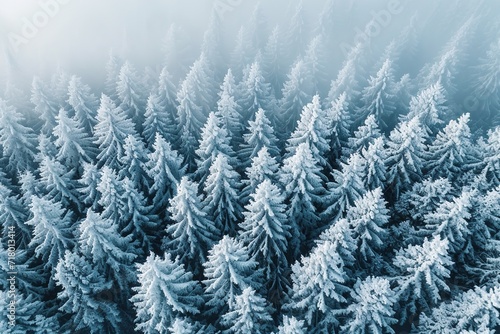 Evergreen trees coated with snow. Generative Ai.