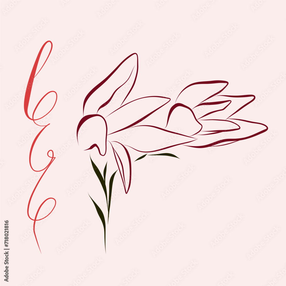Continuous drawing of lines. Linear tulip, magnolia. minimalistic Continuous drawing of lines. Linear tulip, magnolia. minimalistic