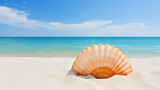 Sea shell on white sand, ideal tropical beach in the afternoon