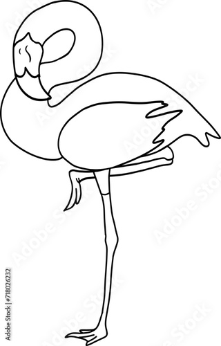 sleeping flamingo bird coloring page vector