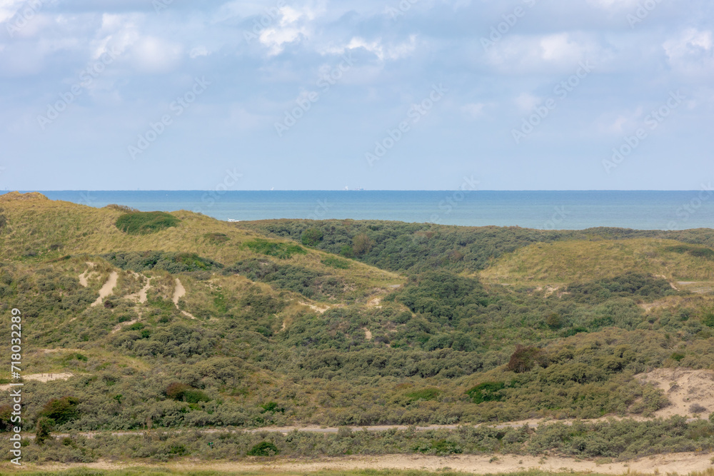 Terrain of Dutch north sea coast, Hilly and slope sand dunes or dyke, European marram grass (beach grass) with blue sky background, Area on the west coast of the province of North Holland, Netherlands