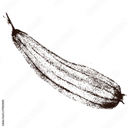 loofah sponge plant - pumpkin - illustrated vector art with transparent background