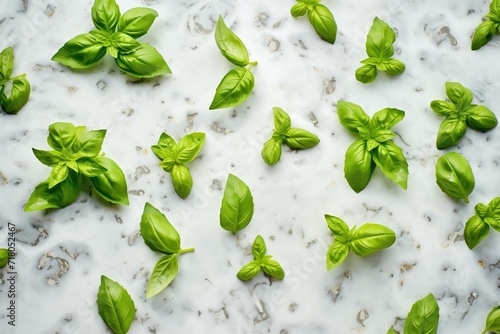 green basil leaves scattered on marble