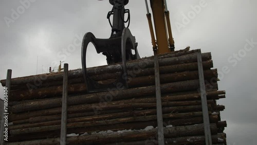 Static view of crane collecting stacked logs. Daylight photo