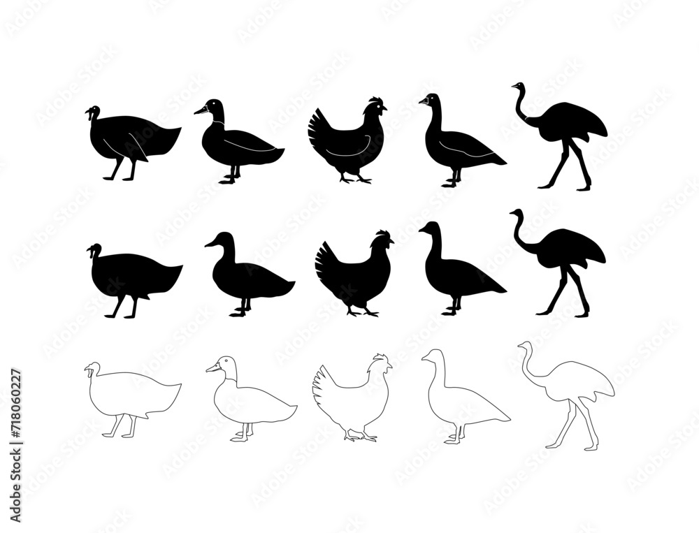 Set of realistic silhouettes of birds - black silhouette of chicken, turkey, duck ostrich rooster.