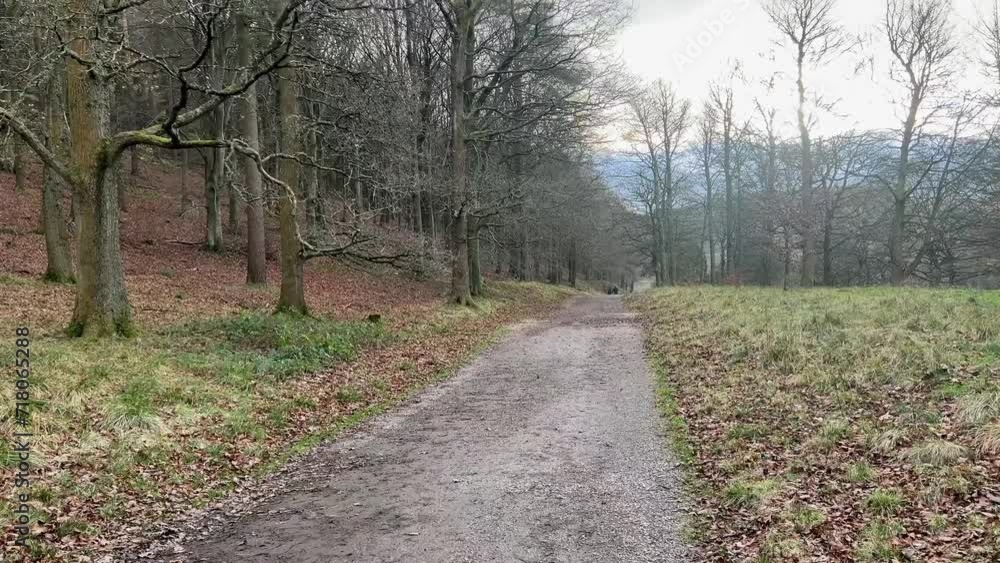 Country woodland pathway with fallen leaves. Winter rural scene. Tourist trail with people hiking and walking dogs Country woodland pathway with fallen leaves. Winter rural scene. Tourist trail with people hiking and walking dogs