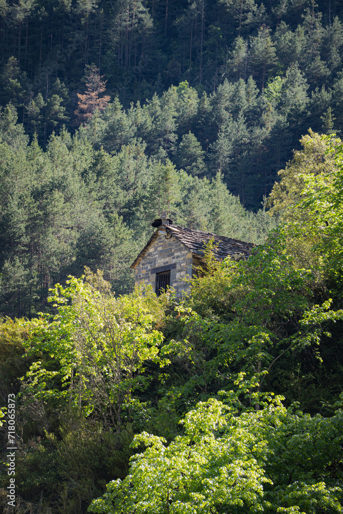 Close-Up small stone house camouflaged among trees in Añisclo C Close-Up small stone house camouflaged among trees in Añisclo C