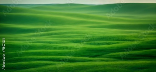 Abstract organic green lines in landscape as wallpaper background