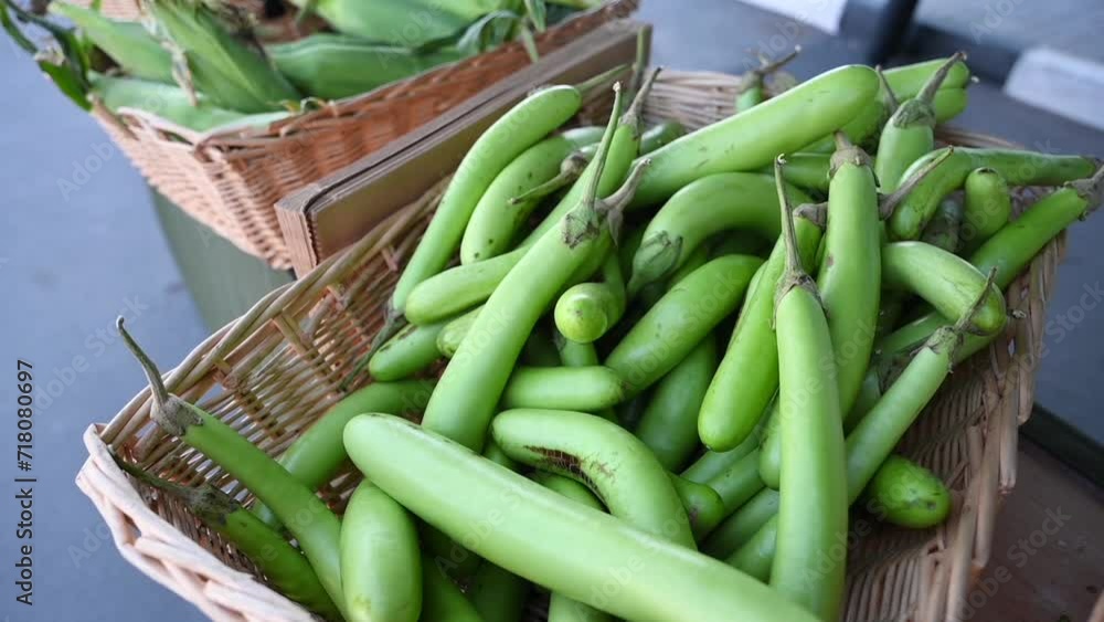 At the agriculture festival in the UAE, locally grown long green Eggplants are showcased for sale At the agriculture festival in the UAE, locally grown long green Eggplants are showcased for sale