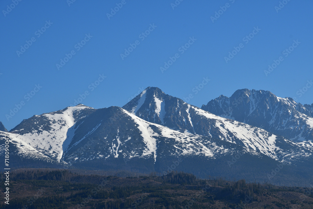 Snow-covered mountain peaks  with grass landscape in the spring  High Tatras Slovakia