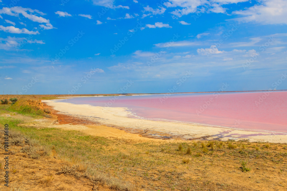 View of the pink salty Syvash lake in Kherson region, Ukraine View of the pink salty Syvash lake in Kherson region, Ukraine