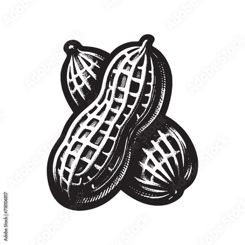 Peanut. Vintage engraved black illustration. Simple vector icon, logo. Line art