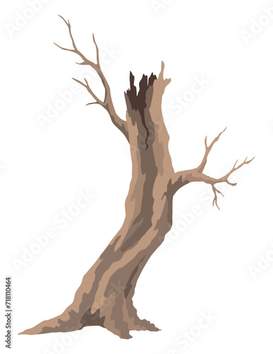 Old dead tree, rough spooky bark, dry naked branch silhouette. Vector scary forest, leafless trunk. Nature ecology problems concept. Winter or autumn season plants icon isolated