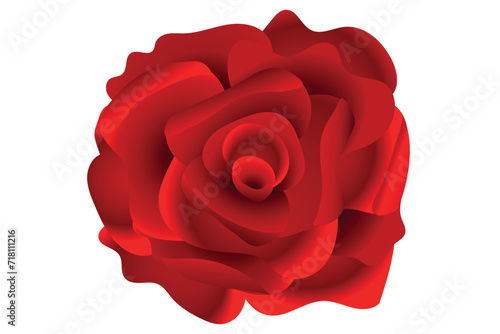 Fototapeta Naklejka Na Ścianę i Meble -  Red Rose. Design element isolated on white.