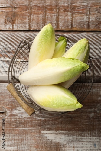 Fresh raw Belgian endives (chicory) in metal basket on wooden table, top view photo