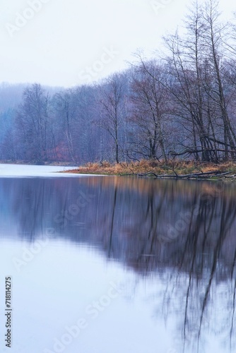 lake in the forest