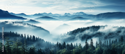 Top view fog on pine trees in the forest © Inlovehem