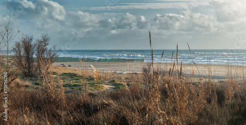 Luce del pomeriggio alla spiaggia