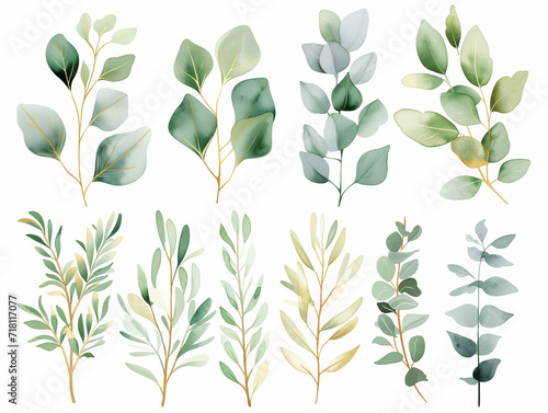 Collection of green watercolor foliage plants clipart on white background. Botanical spring summer leaves illustration. Suitable for wedding invitations  greeting cards  frames and bouquets.