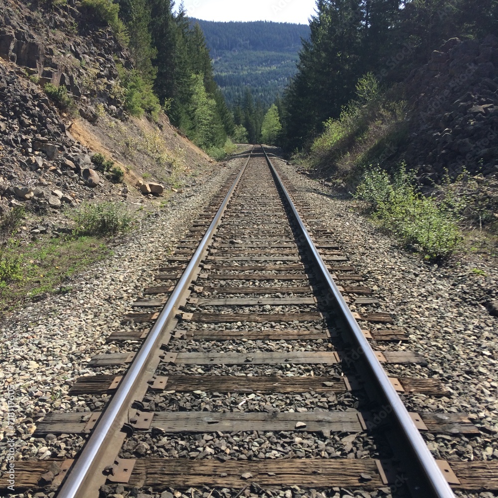 Fototapeta premium railroad tracks in the mountains