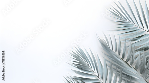 Shadow overlay effect on white wall,, motion of shadow palm leaf in the wind blowing overlay on white wall blur background, concepts summer Pro Phot 
