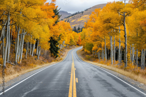 Road with yellow trees in autumn
