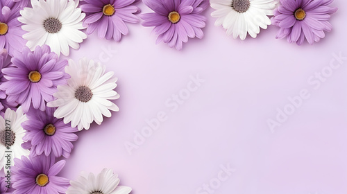 Pink chrysanthemums on a pink background floral holiday banner copy space,, pink ribbon and pink daisies with white flowers on pink background Free Photo 