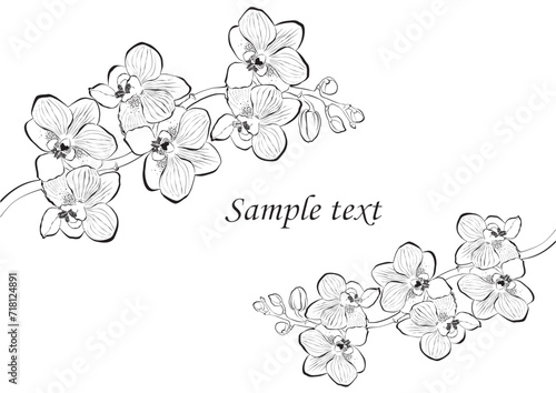 Drawn vector ink orchid flowers and branches, monochrome, detailed outline. Circle wreath composition. Isolated on white background. Design for wall art, wedding, print, tattoo, cover, card
