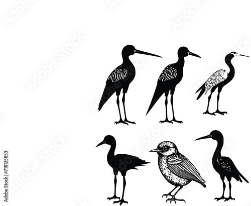 Vector Bird Stork Silhouette Vector Art illustrator Design