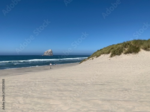 beach in summer