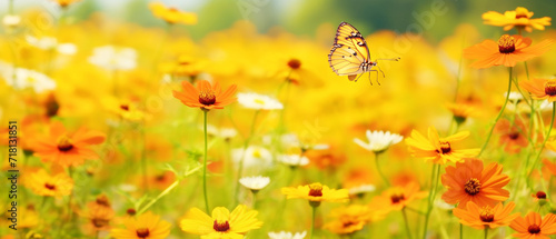 Beautiful butterfly in field flower with sunset © Inlovehem