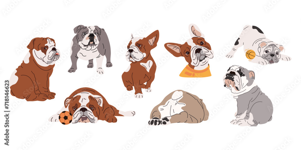 French and English bulldogs breeds set. Cute dogs sit, lie, sleep, play with toys. Simple dog illustration. Funny cartoon puppies. Vector flat illustration isolated on white background
