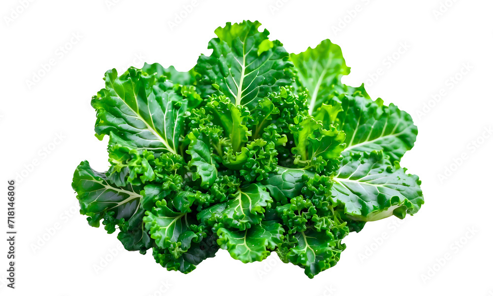 Fresh green organic kale leaves isolated isolated on transparent or white background. Creative layout made of kale closeup. Flat lay. Food concept. Fresh green organic kale leaves isolated isolated on transparent or white background. Creative layout made of kale closeup. Flat lay. Food concept.