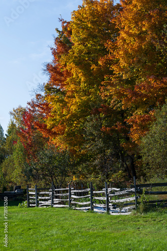 A wooden fence in the fall colors