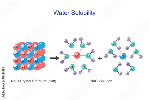  Water solubility of sodium chloride ( NaCl ) or salt. Aquous solution of hydrated cations and hydrated anions. Chemistry concept. photo