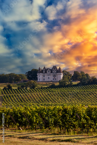 Chateau Monbazillac ( Monbazillac castle) with vineyards, Aquitaine, France photo