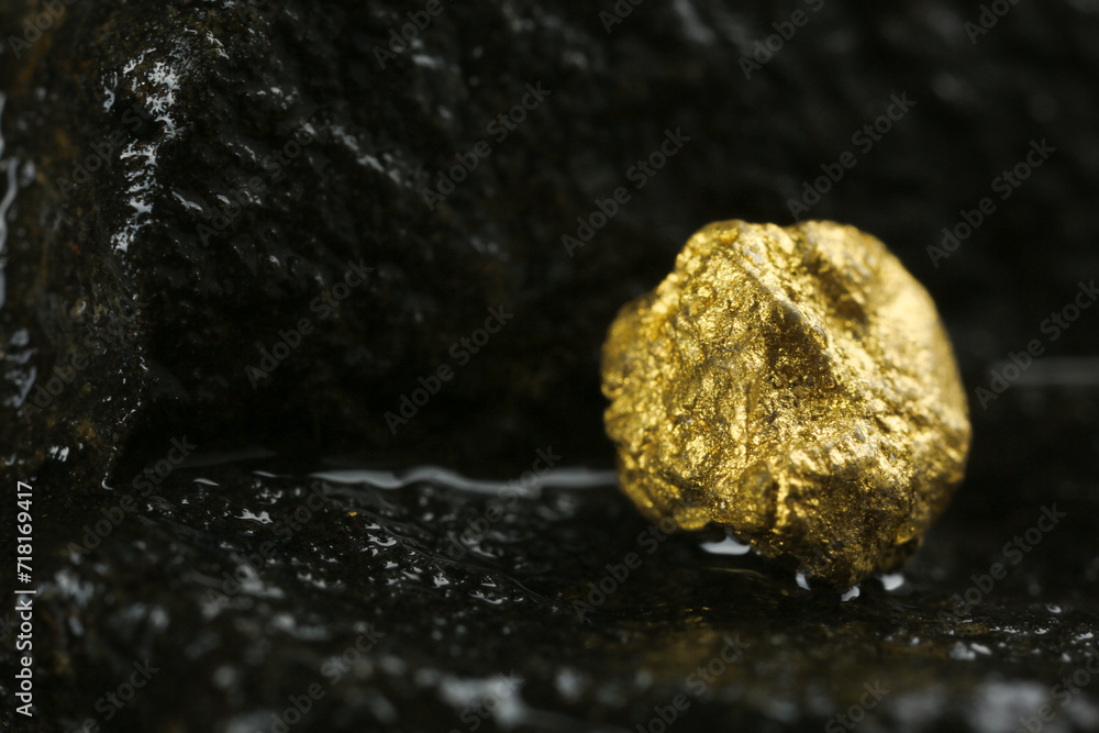 Shiny gold nugget on wet stone, closeup. Space for text Shiny gold nugget on wet stone, closeup. Space for text
